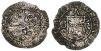 Szwecja, 1 öre, bez daty (1611-1617)