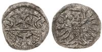 denar 1555, Elbląg, Pfau 208, Slg. Mareinburg 92