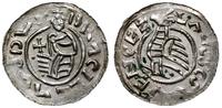 denar przed 1050 r., Aw: Popiersie księcia z krz