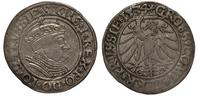 grosz 1534, Toruń, odmiana - głowa króla w czepc