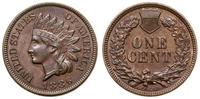 1 cent 1886, Filadelfia, typ Indian Head, rzadsz