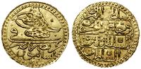 1 Zeri Mahbub AH 1203+15 (1804 AD), złoto, 2.39 