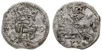 dwudenar 1579, Mitawa, rzadka moneta lenna z okr