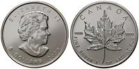 5 dolarów 2009, Ottawa, typ Maple Leaf, srebro p