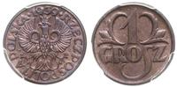grosz 1939, Warszawa, pięknie zachowana moneta w