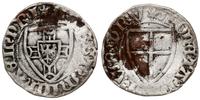 szeląg - falsyfikat z epoki 1414-1416, Aw: Tarcz