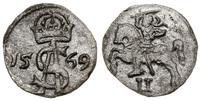 dwudenar 1569, Wilno, wyczyszczony, Cesnulis-Iva