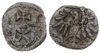 denar bez daty (po roku 1530), Elbląg, wariant z