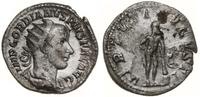 antoninian 241-243, Rzym, Aw: Popiersie cesarza 