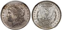 dolar 1885 O, Nowy Orlean, typ Morgan, srebro pr