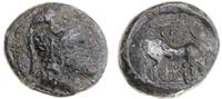 brąz 181-137 pne, Aw: Głowa Ateny w hełmie w pra