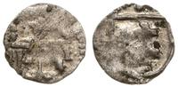 denar koronny 1386–1399, mennica Wschowa, Aw: Or
