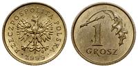 Polska, 1 grosz - wybity odwróconymi stemplami o 180 stopni, 1999