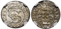 szeląg 1599, Ryga, piękna moneta w pudełku NGC 3