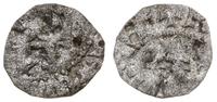 półgrosz obcięty do wymiarów denara (?) 1412–141