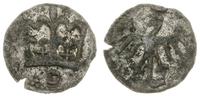 denar koronny bez daty, Kraków, srebro, 0.42 g, 