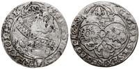 szóstak 1625, Kraków, herb Półkozic pod popiersi