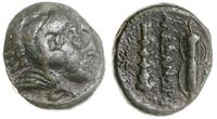 brąz po 328 pne, Aw: Głowa Heraklesa w lwiej skó
