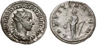 antoninian 241-243, Rzym, Aw: popiersie władcy w