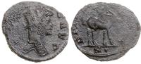 antoninian bilonowy 253–268, Rzym, Aw: Popiersie