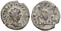 Cesarstwo Rzymskie, antoninian, 254-255