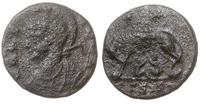 follis 307, Siscia, Aw: Popiersie Romy w lewo, V