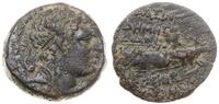 brąz SE 154 (159/8 pne), Aw: Głowa Demetriusza I