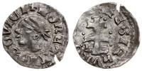 denar ok. 1373–1382, Buda, Aw: Głowa Saracena w 