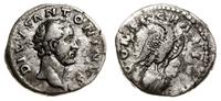 denar pośmiertny, Rzym, Aw: Głowa Antoniusza Piu