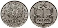 1 złoty 1929, Warszawa, moneta umyta, Parchimowi