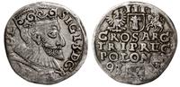 trojak 1593, Poznań, szeroka głowa króla, Iger P