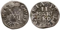 2 grosze maryjne 1656, Geseke, ciemna patyna