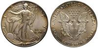 1 dolar 1987, srebro 31.23 g