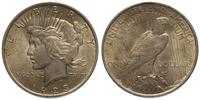 1 dolar 1923, Filadelfia, srebro 26.68 g, patyna