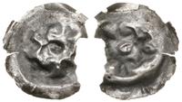 brakteat XIII–XIV w., Łeb kozła w prawo, srebro,