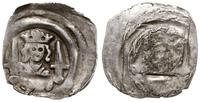 denar po 1267, Oberzeiring, Aw: Popiersie władcy