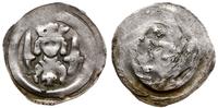 denar po 1267, Oberzeiring, Aw: Popiersie władcy