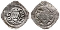 denar 1276-1281, Graz, Aw: Popiersie władcy na w
