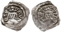 denar 1276-1281, Graz, Aw: Popiersie władcy na w