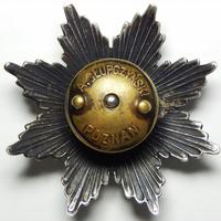 Polska, odznaka Batalionu Lotnictwa, od 1930