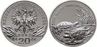 20 złotych 2002, Warszawa, Żółw błotny - Emys or