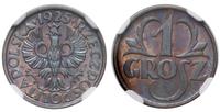 1 grosz 1925, Warszawa, moneta w pudełku NGC nr 