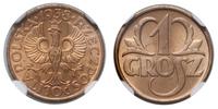 1 grosz 1938, Warszawa, moneta w pudełku NGC nr 