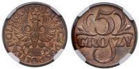 5 groszy 1938, Warszawa, moneta w pudełku NGC nr