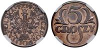 5 groszy 1939, Warszawa, moneta w pudełku NGC nr