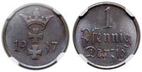 1 fenig 1937, Berlin, moneta w pudełku NGC nr 58