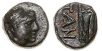 50 200-150 pne, Aw: Głowa Apollo w wieńcu w praw