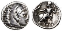 drachma ok. 235 pne, Tomi, Aw: Głowa Heraklesa n