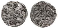 denar 1558, Wilno, Cesnulis-Ivanauskas 2SA18-9 (
