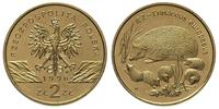 2 złote 1996, Jeż, nordic gold, Parchimowicz 733